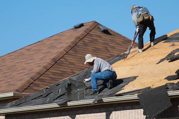 Best Skylight Installation and Repair  in Fredonia, WI